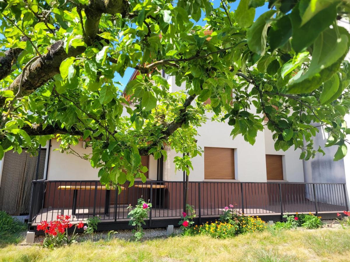 Riezu Casa Julio, Bonita Casa Comoda Y Espaciosa, Totalmente Reformada Con Terraza Y Jardin Privado מראה חיצוני תמונה